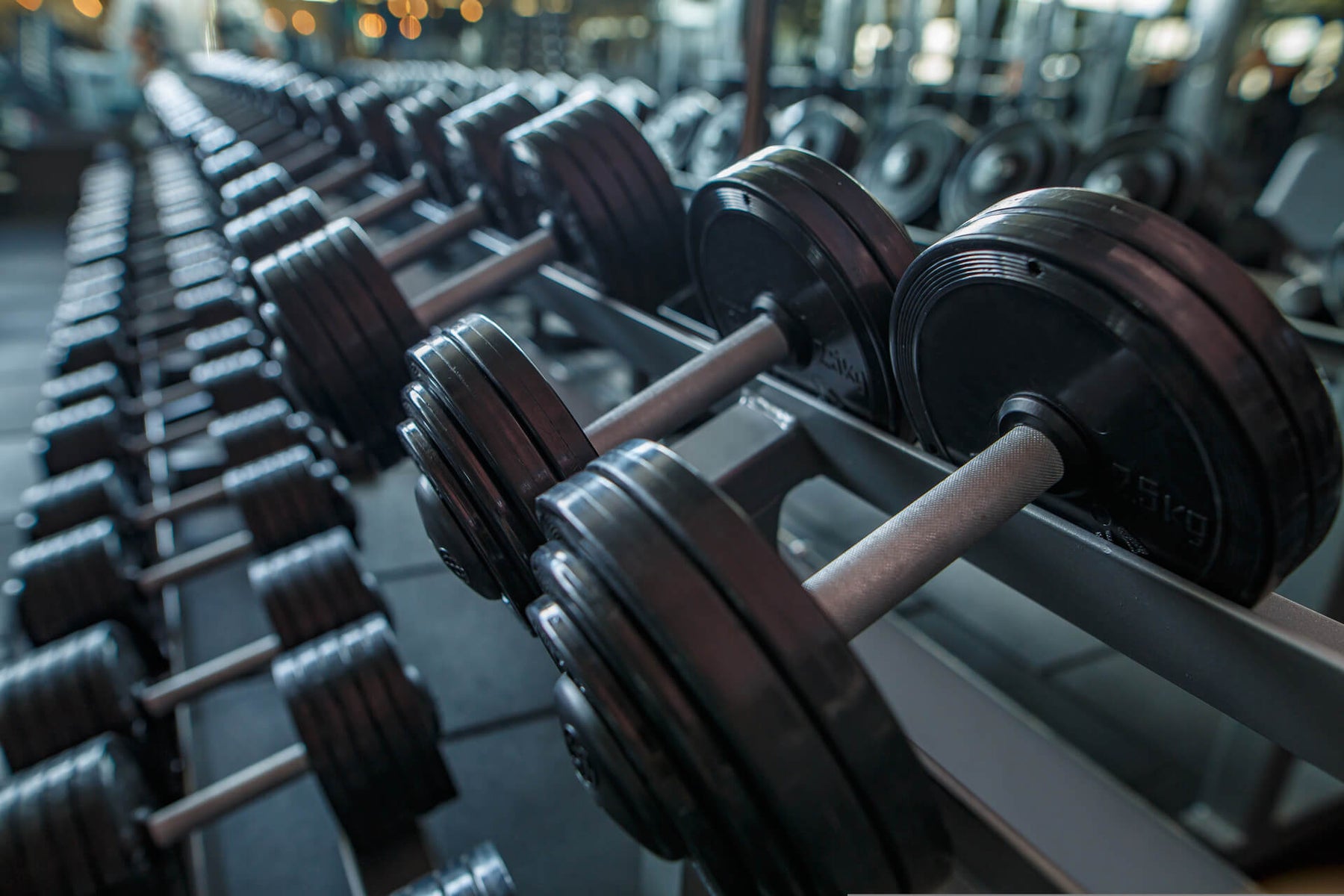 Commercial gym fitouts
