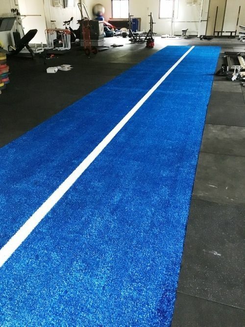 Morgan Blue Astro Turf