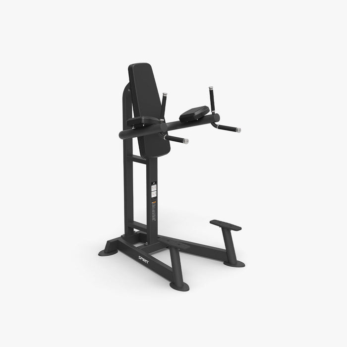 Spirit Fitness 4215 Leg Raise / Dip