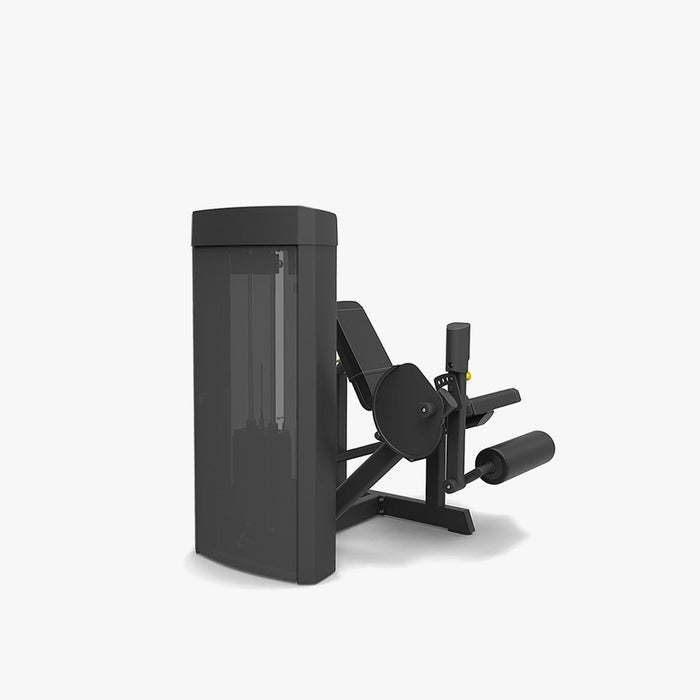 Spirit Fitness 4305 Leg Extension
