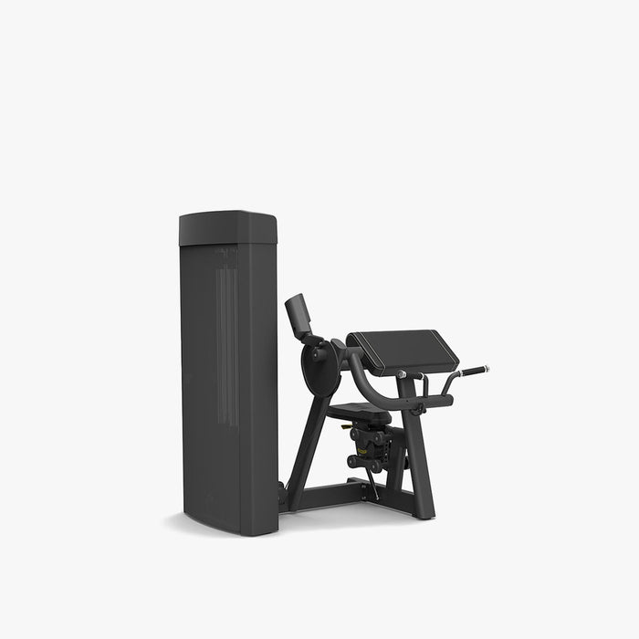 Spirit Fitness 4307 Biceps Curl