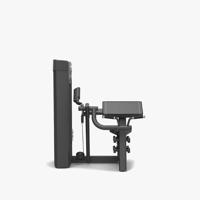 Spirit Fitness 4307 Biceps Curl