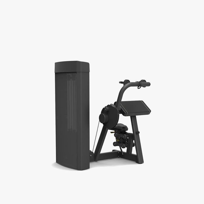 Spirit Fitness 4308 Triceps Extension