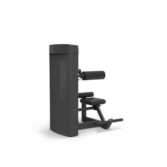 Spirit Fitness 4309 Abdominal