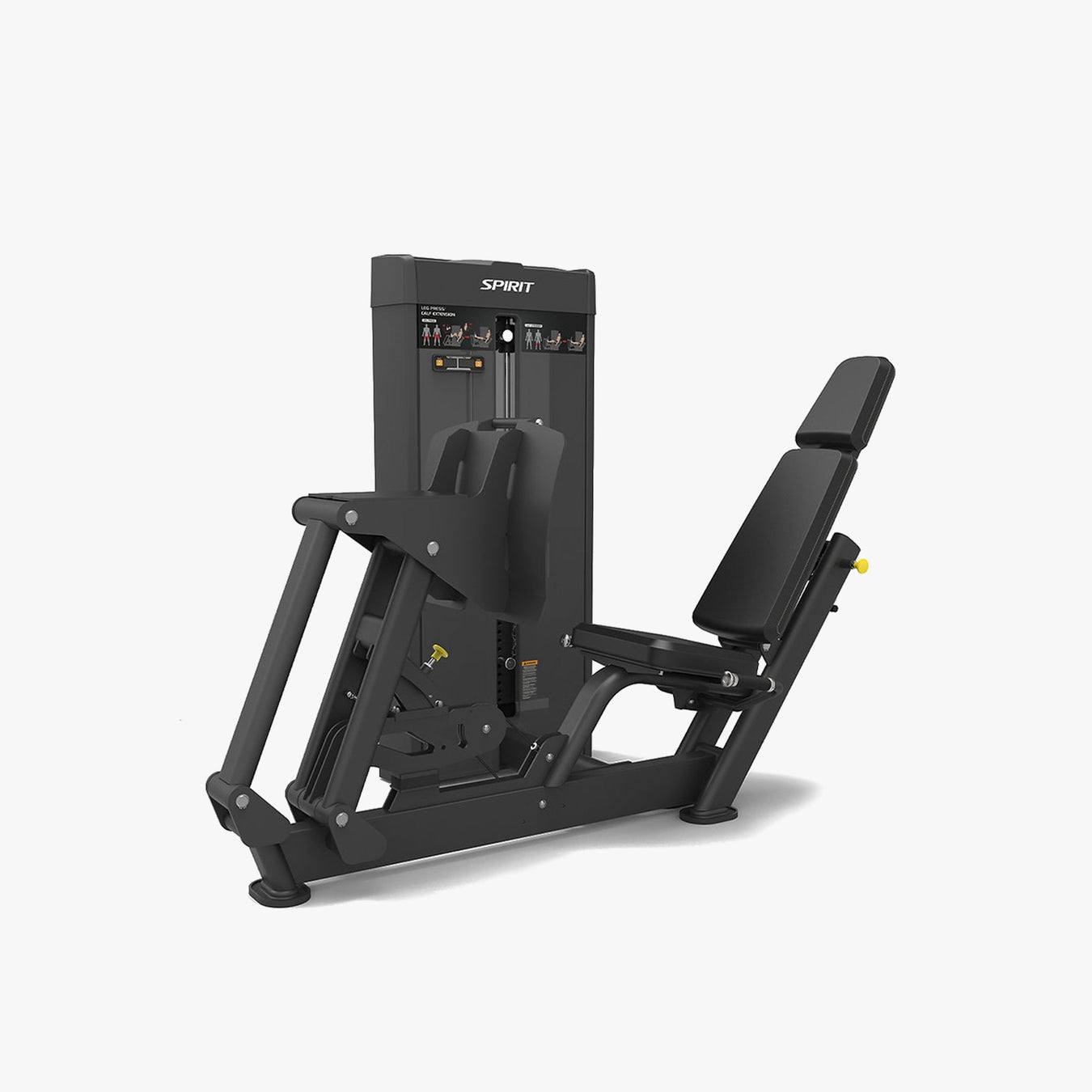 Lower Body Training