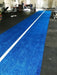 Morgan Blue Astro Turf