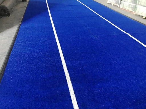Morgan Blue Astro Turf with white lines