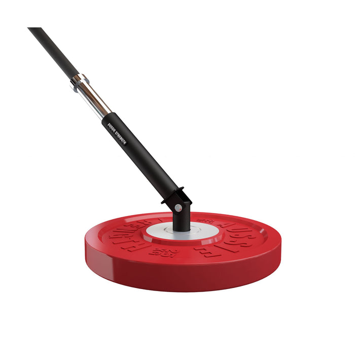 Torso Trainer Anchor For Weight Plate